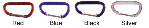 Carabiner Key Holder