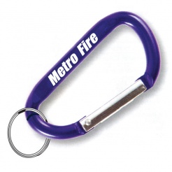 Carabiner Key Holder (Custom)